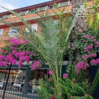 фото из отзыва ID 2727673