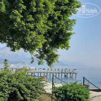 фото из отзыва ID 2727673