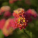 фото из отзыва ID 2727735