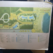 фото из отзыва ID 2727727