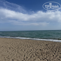 фото из отзыва ID 2727741