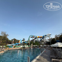 фото из отзыва ID 2727741