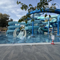 фото из отзыва ID 2727741