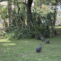 фото из отзыва ID 2727741