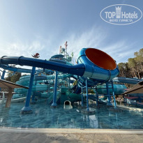 фото из отзыва ID 2727741