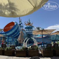 фото из отзыва ID 2727741