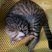 фото из отзыва ID 2727631