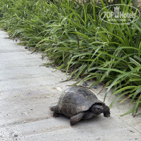 фото из отзыва ID 2727631