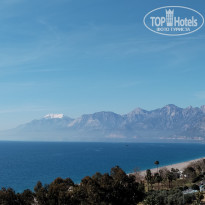 фото из отзыва ID 2727749