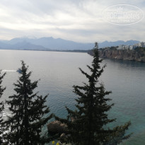 фото из отзыва ID 2727749