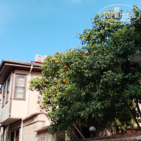 фото из отзыва ID 2727749