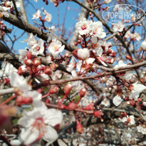 фото из отзыва ID 2727749