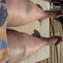 фото из отзыва ID 2727751