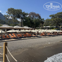 фото из отзыва ID 2727751