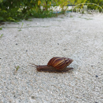 фото из отзыва ID 2727777