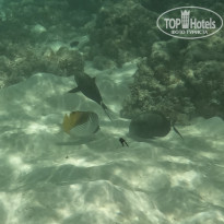 фото из отзыва ID 2727777