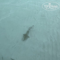 фото из отзыва ID 2727777