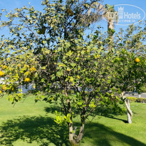 фото из отзыва ID 2727799