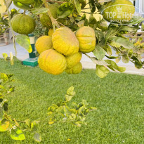 фото из отзыва ID 2727799