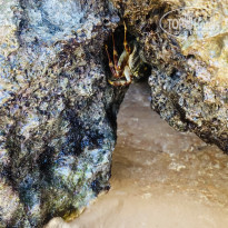 фото из отзыва ID 2727799