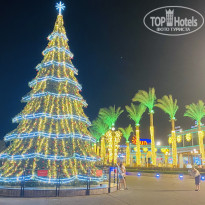 фото из отзыва ID 2727799