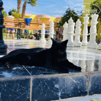 фото из отзыва ID 2727799