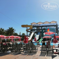 фото из отзыва ID 2727834