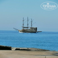 фото из отзыва ID 2727834