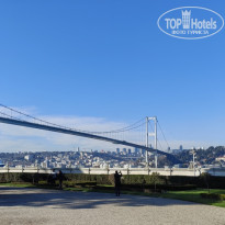 фото из отзыва ID 2727837