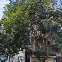 фото из отзыва ID 2727837