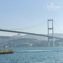 фото из отзыва ID 2727837