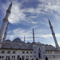 фото из отзыва ID 2727837