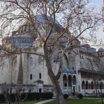 фото из отзыва ID 2727837