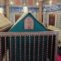 фото из отзыва ID 2727837