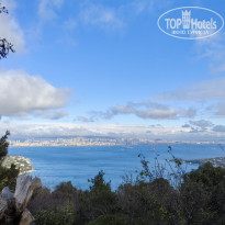 фото из отзыва ID 2727837