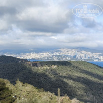 фото из отзыва ID 2727837