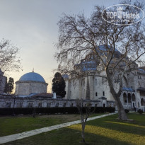 фото из отзыва ID 2727837