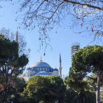 фото из отзыва ID 2727837