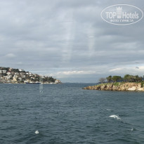 фото из отзыва ID 2727837