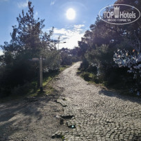 фото из отзыва ID 2727837