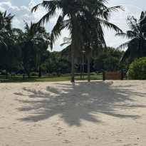 фото из отзыва ID 2727779