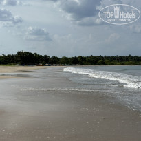 фото из отзыва ID 2727779