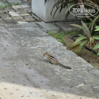 фото из отзыва ID 2727779