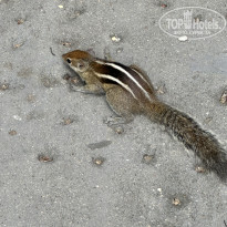 фото из отзыва ID 2727779