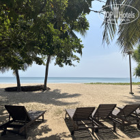 фото из отзыва ID 2727779