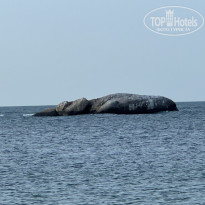 фото из отзыва ID 2727779