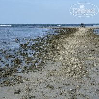 фото из отзыва ID 2727779