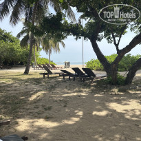 фото из отзыва ID 2727779