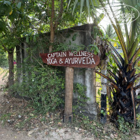 фото из отзыва ID 2727779