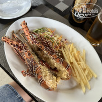 фото из отзыва ID 2727779